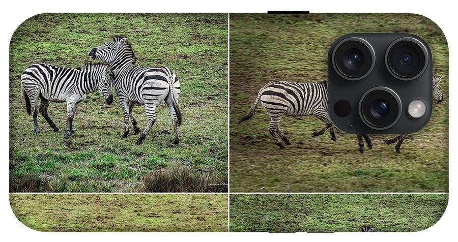 Zebras in play - Phone Case