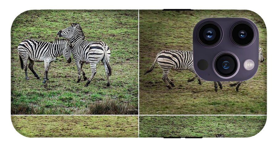 Zebras in play - Phone Case