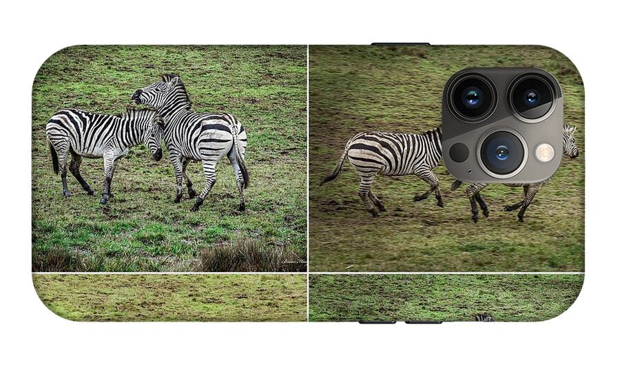 Zebras in play - Phone Case