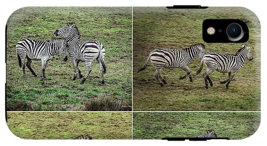 Zebras in play - Phone Case