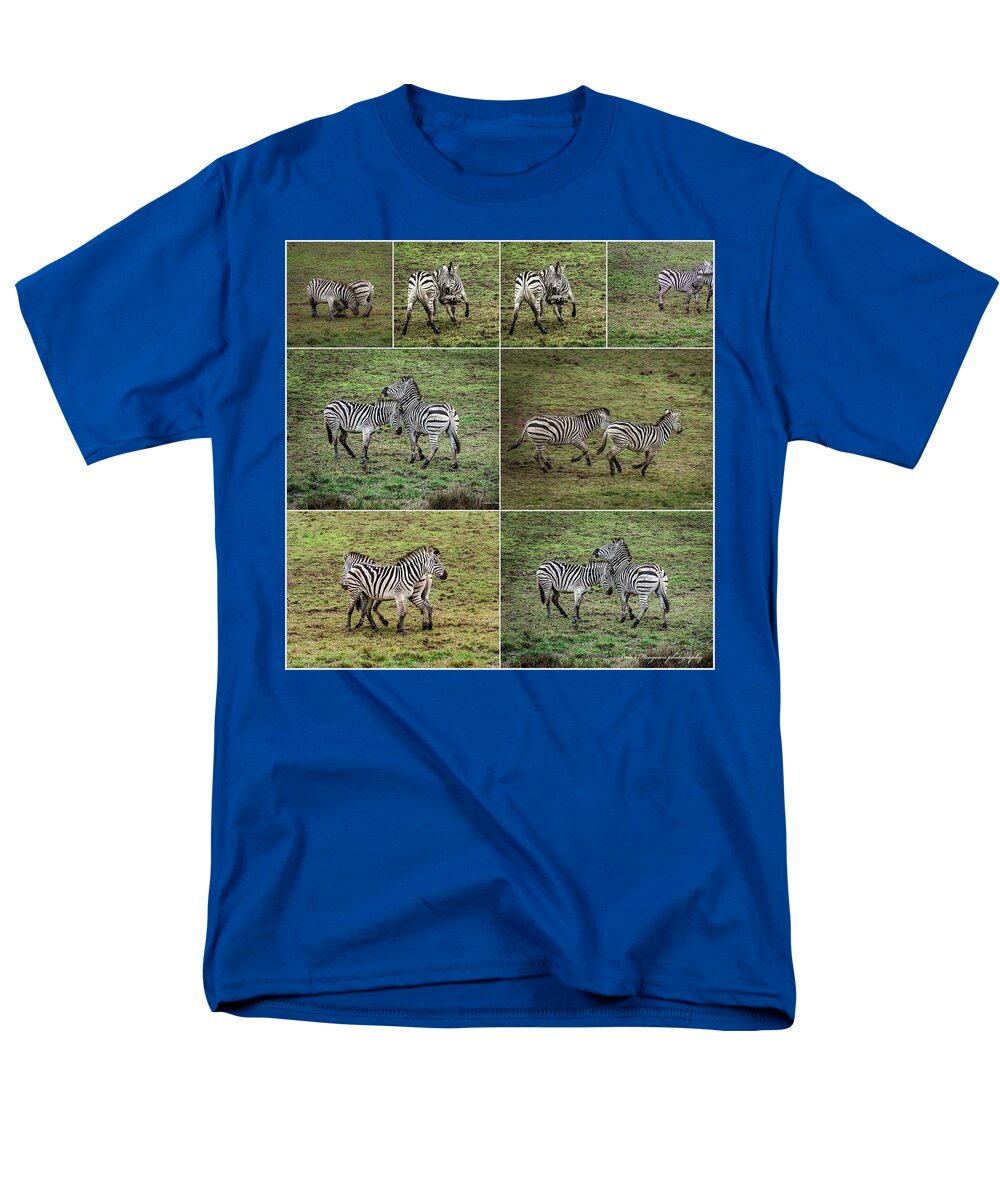Zebras in play - Men's T-Shirt  (Regular Fit)
