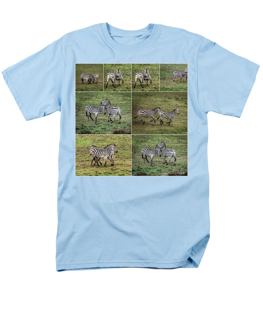Zebras in play - Men's T-Shirt  (Regular Fit)