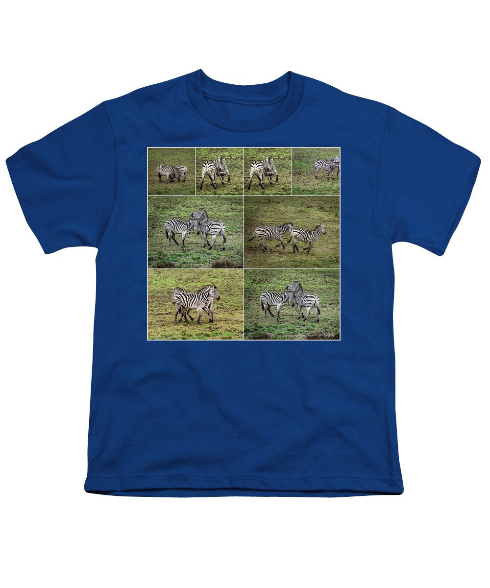 Zebras in play - Youth T-Shirt