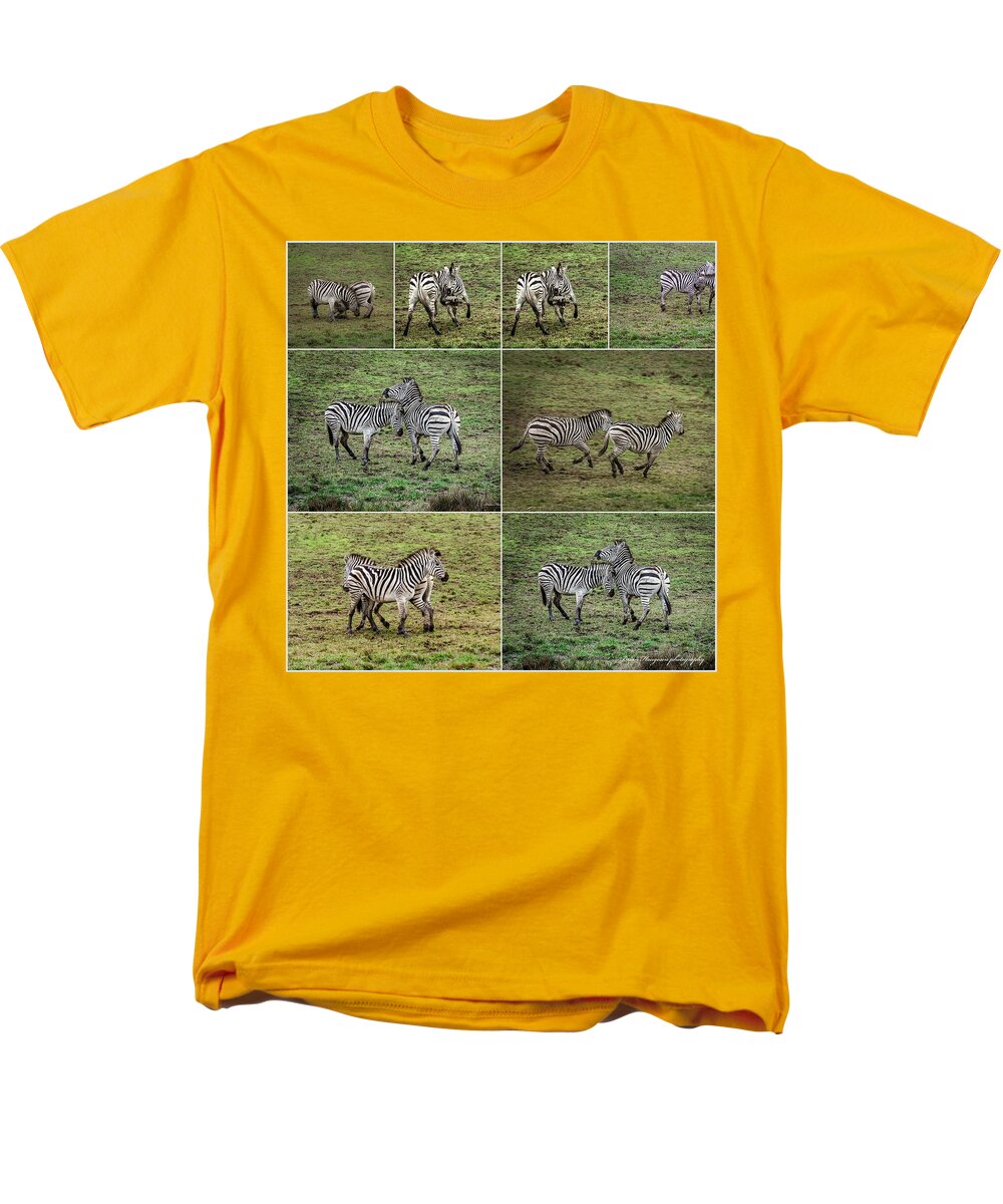 Zebras in play - Men's T-Shirt  (Regular Fit)