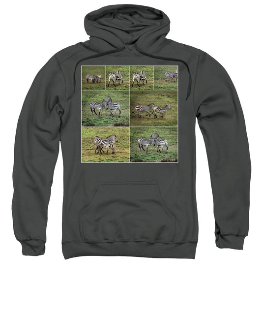 Zebras in play - Sweatshirt