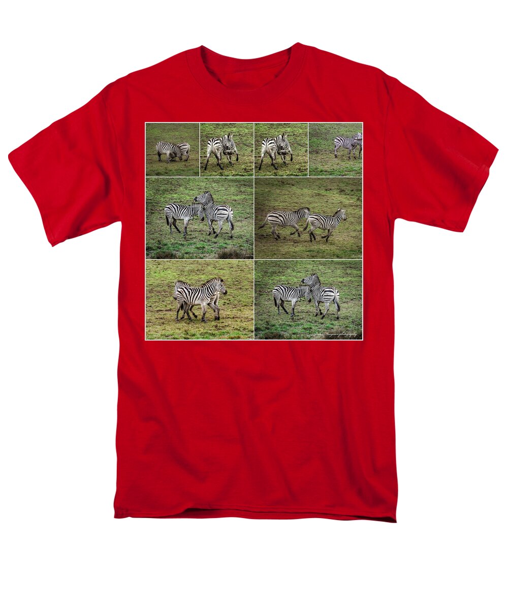 Zebras in play - Men's T-Shirt  (Regular Fit)