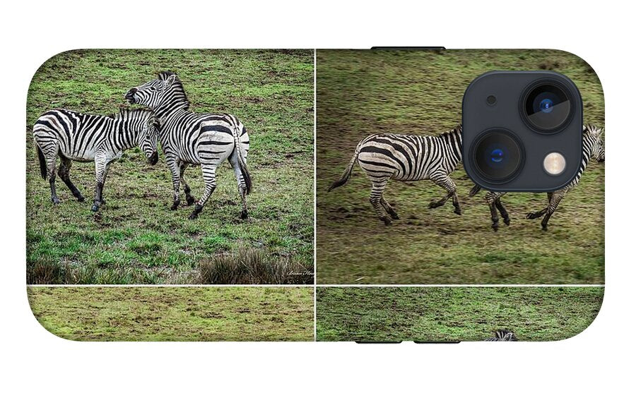 Zebras in play - Phone Case