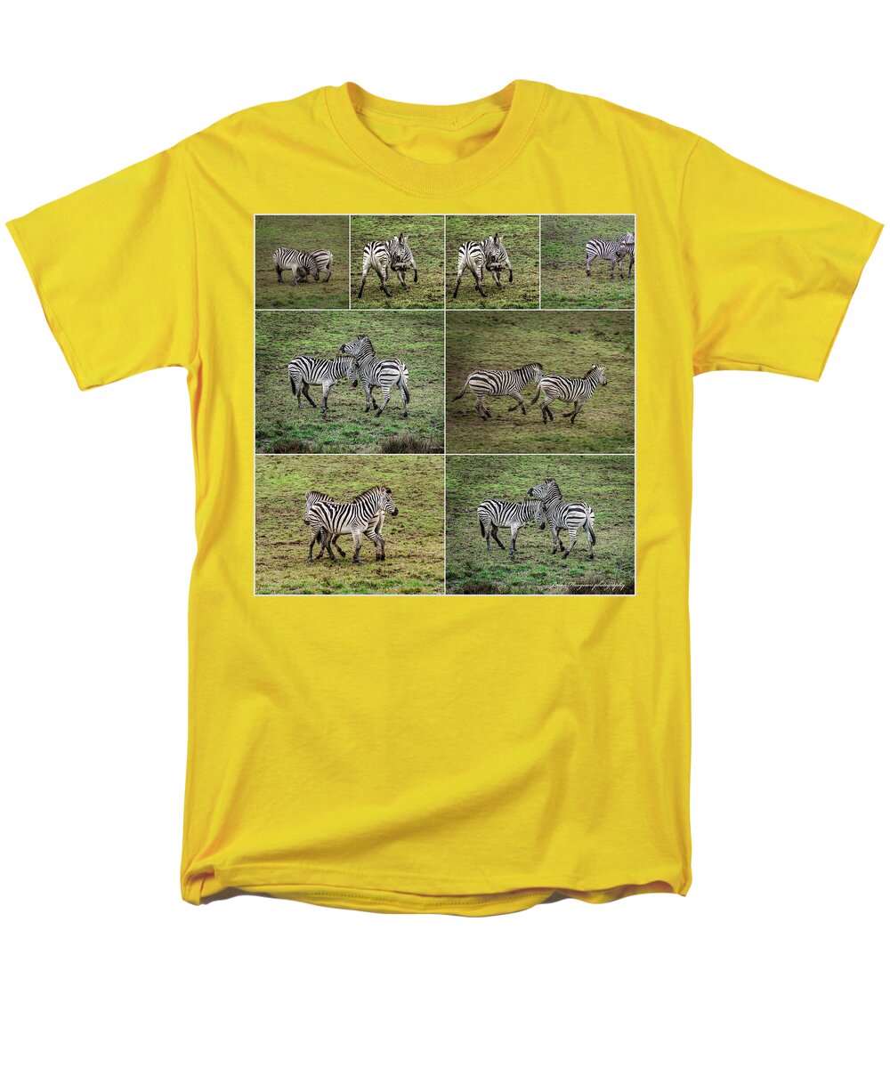 Zebras in play - Men's T-Shirt  (Regular Fit)