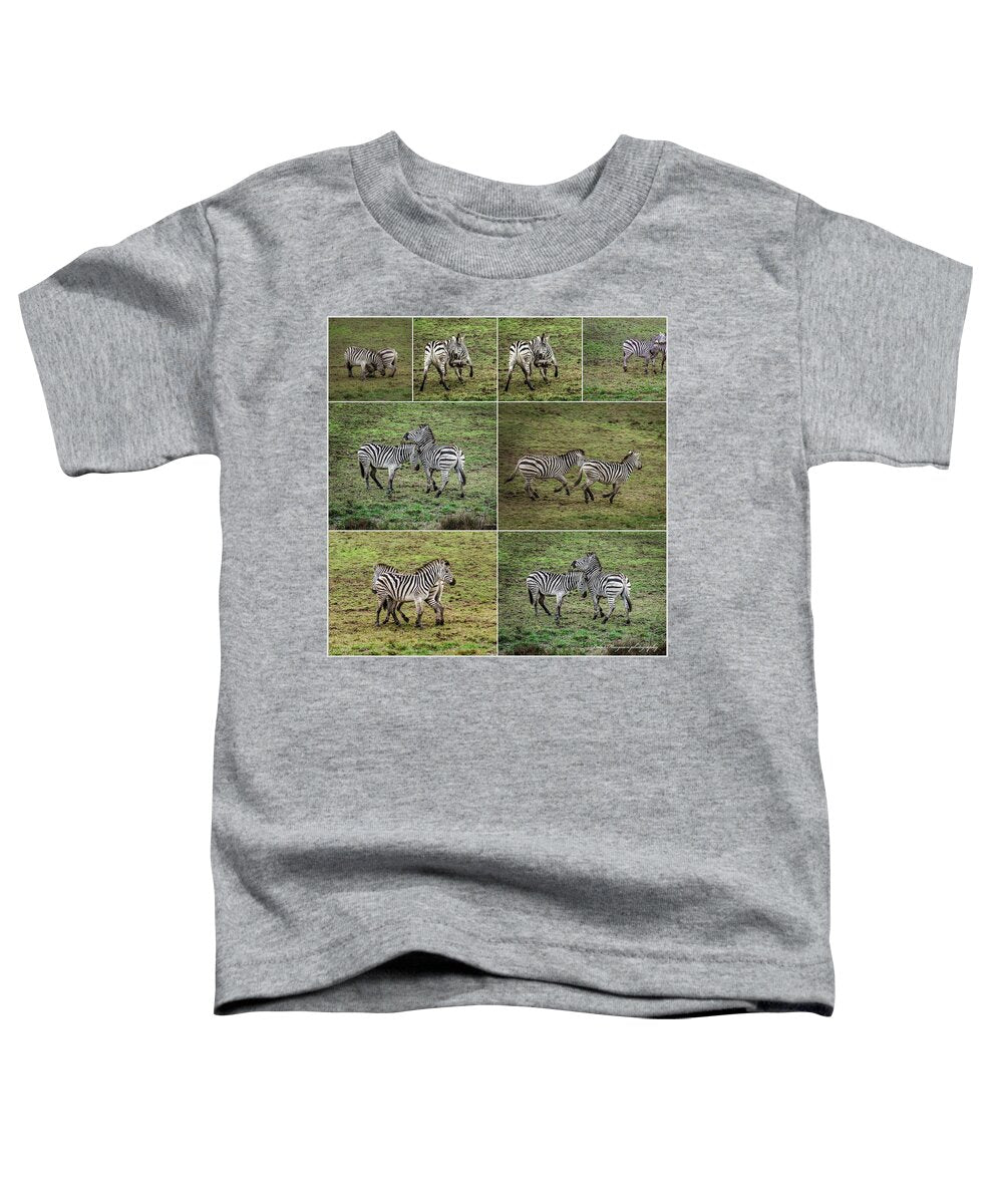 Zebras in play - Toddler T-Shirt