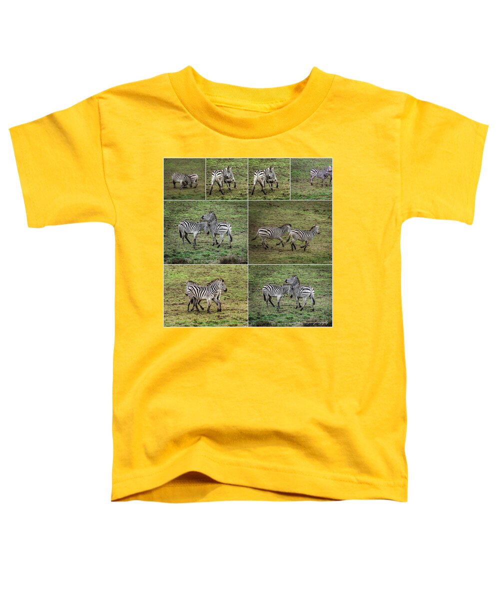 Zebras in play - Toddler T-Shirt