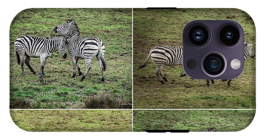 Zebras in play - Phone Case