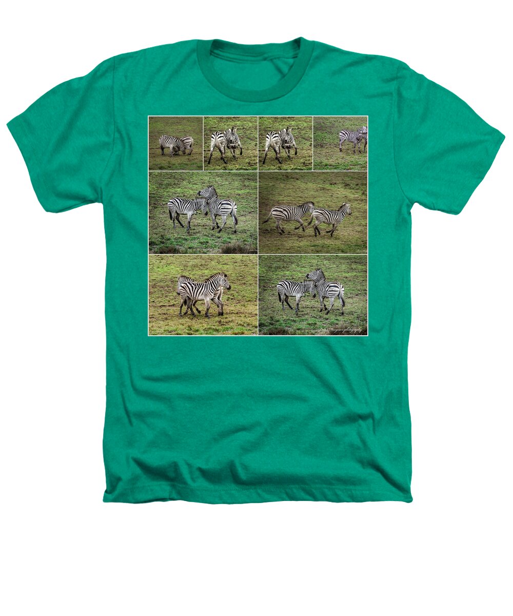 Zebras in play - Heathers T-Shirt