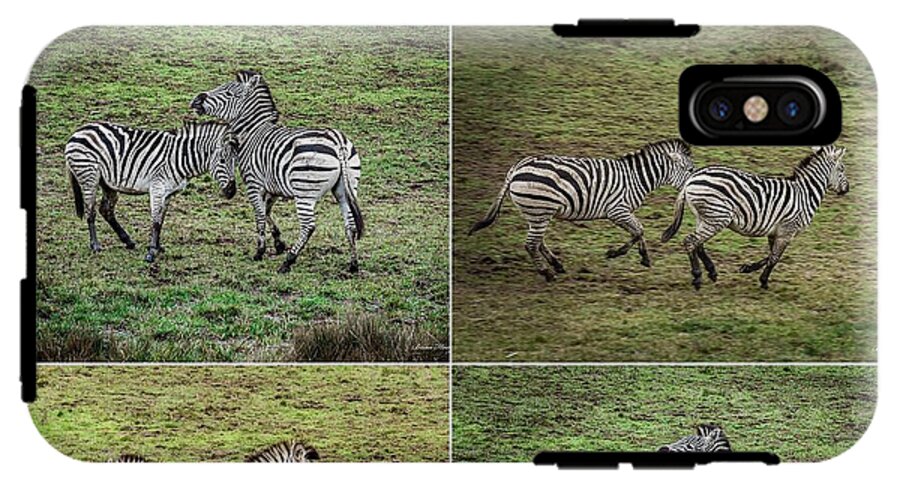 Zebras in play - Phone Case
