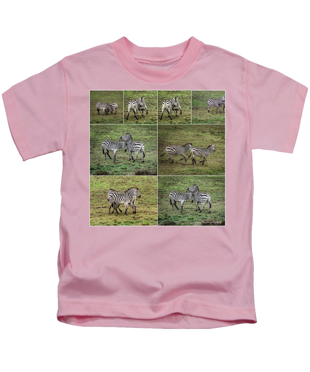Zebras in play - Kids T-Shirt