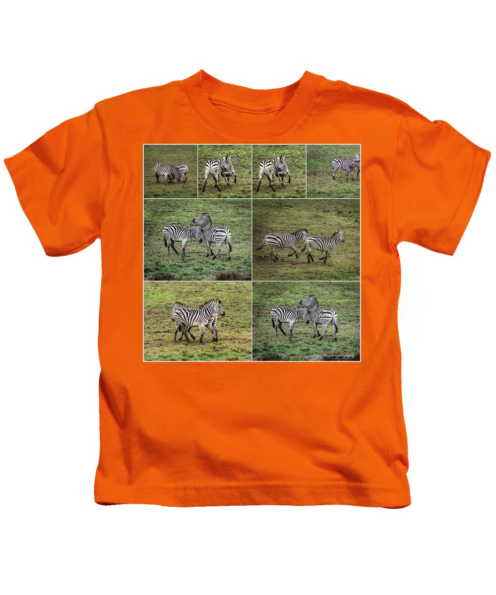 Zebras in play - Kids T-Shirt