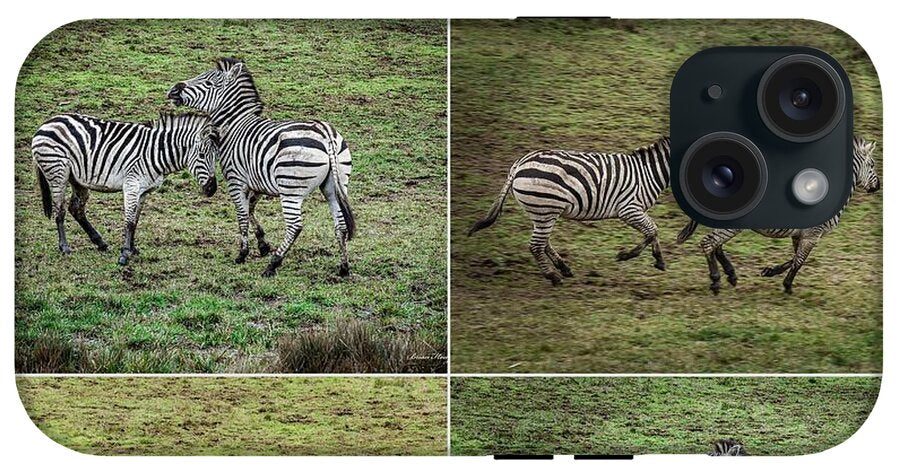 Zebras in play - Phone Case