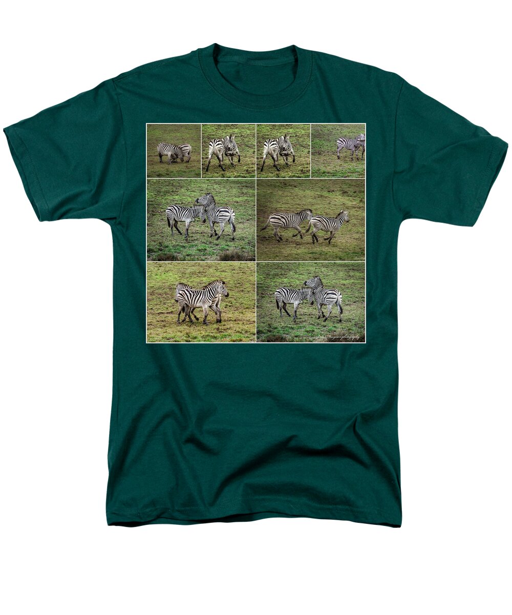 Zebras in play - Men's T-Shirt  (Regular Fit)