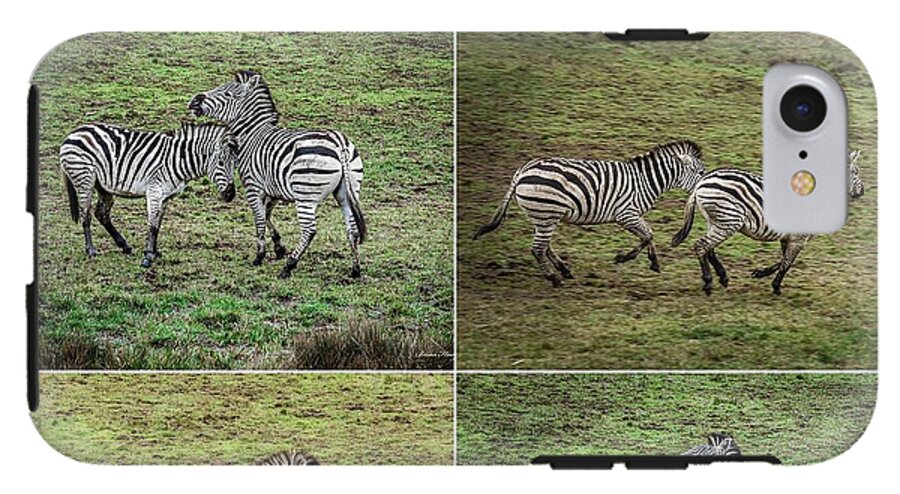 Zebras in play - Phone Case