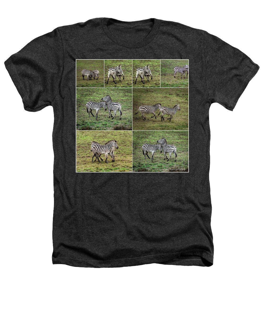 Zebras in play - Heathers T-Shirt