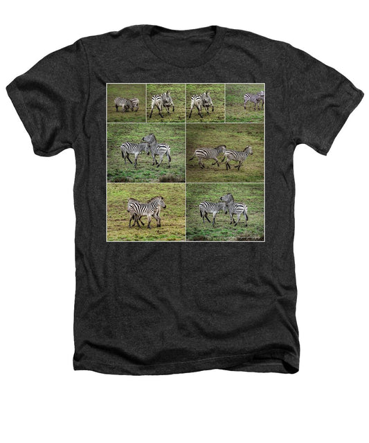 Zebras in play - Heathers T-Shirt