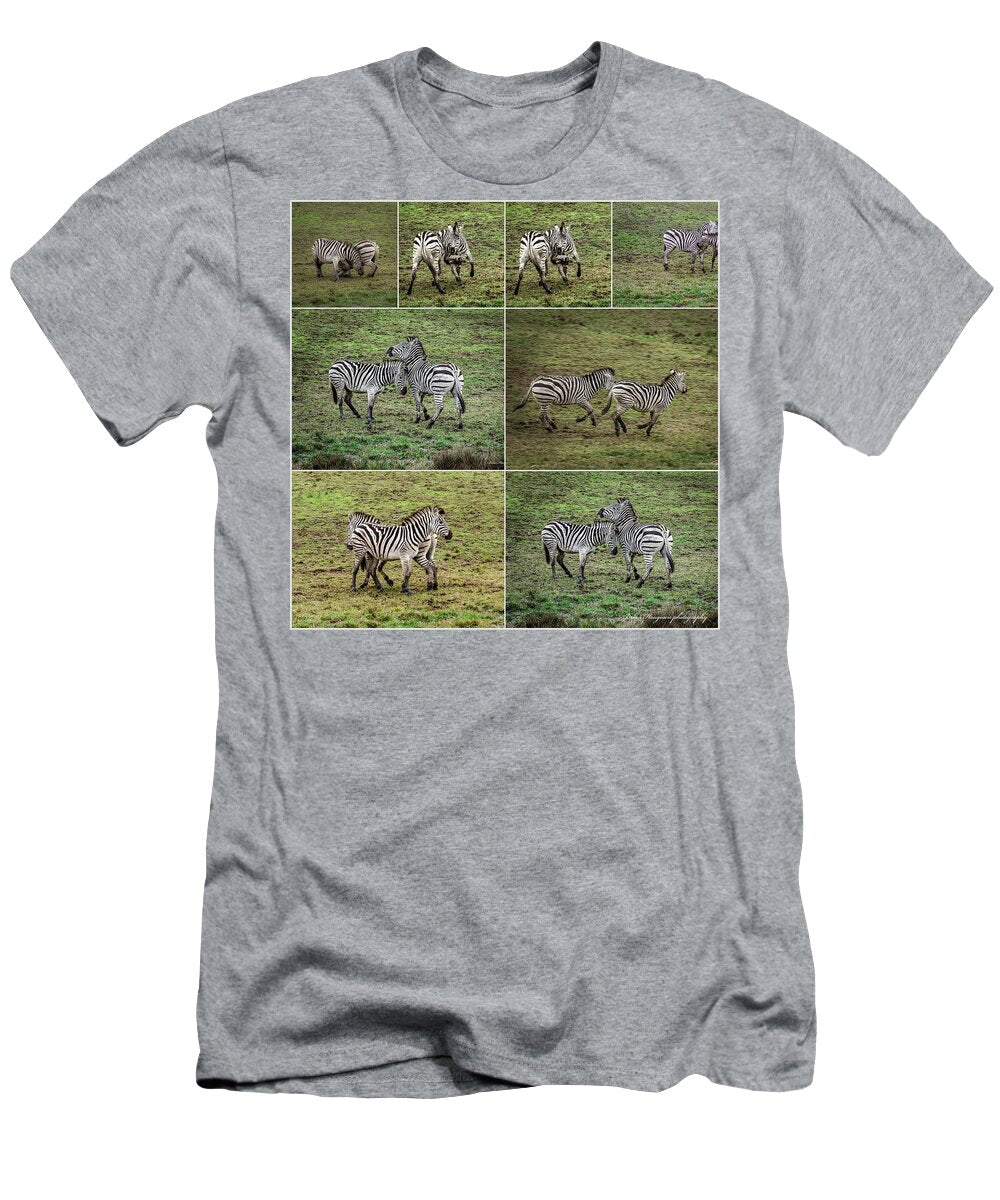 Zebras in play - T-Shirt