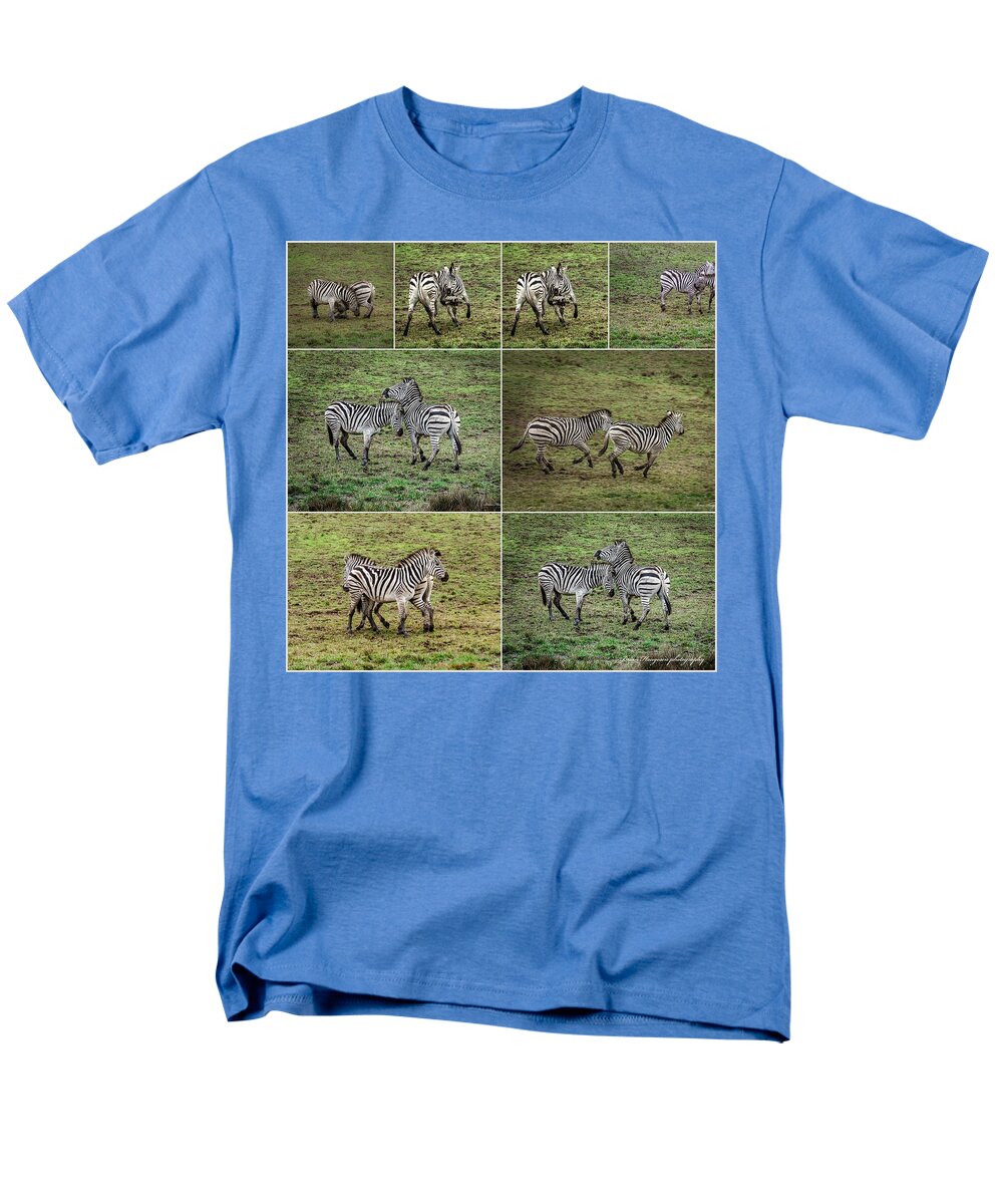 Zebras in play - Men's T-Shirt  (Regular Fit)