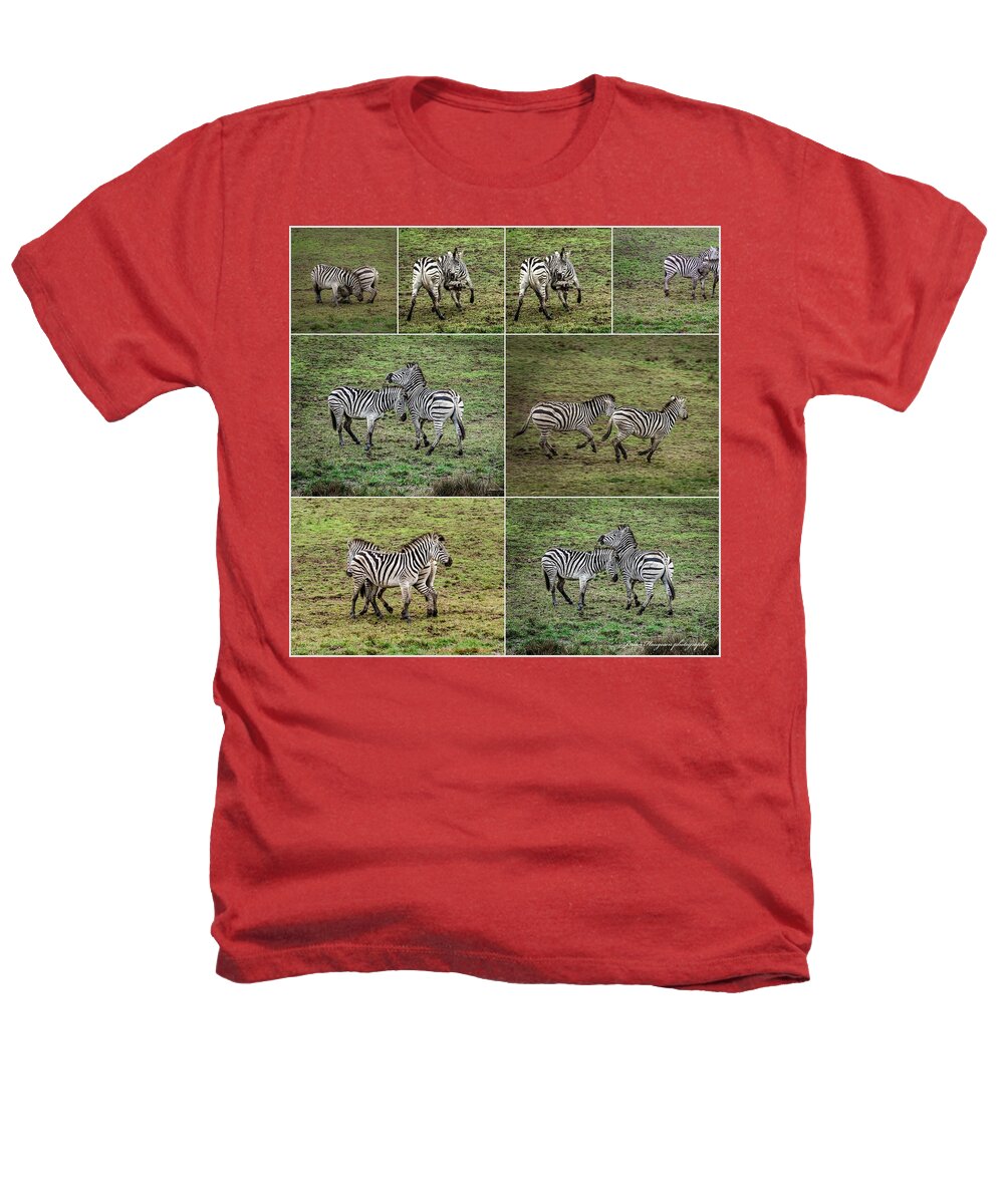 Zebras in play - Heathers T-Shirt