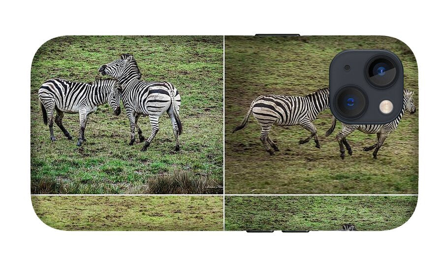 Zebras in play - Phone Case