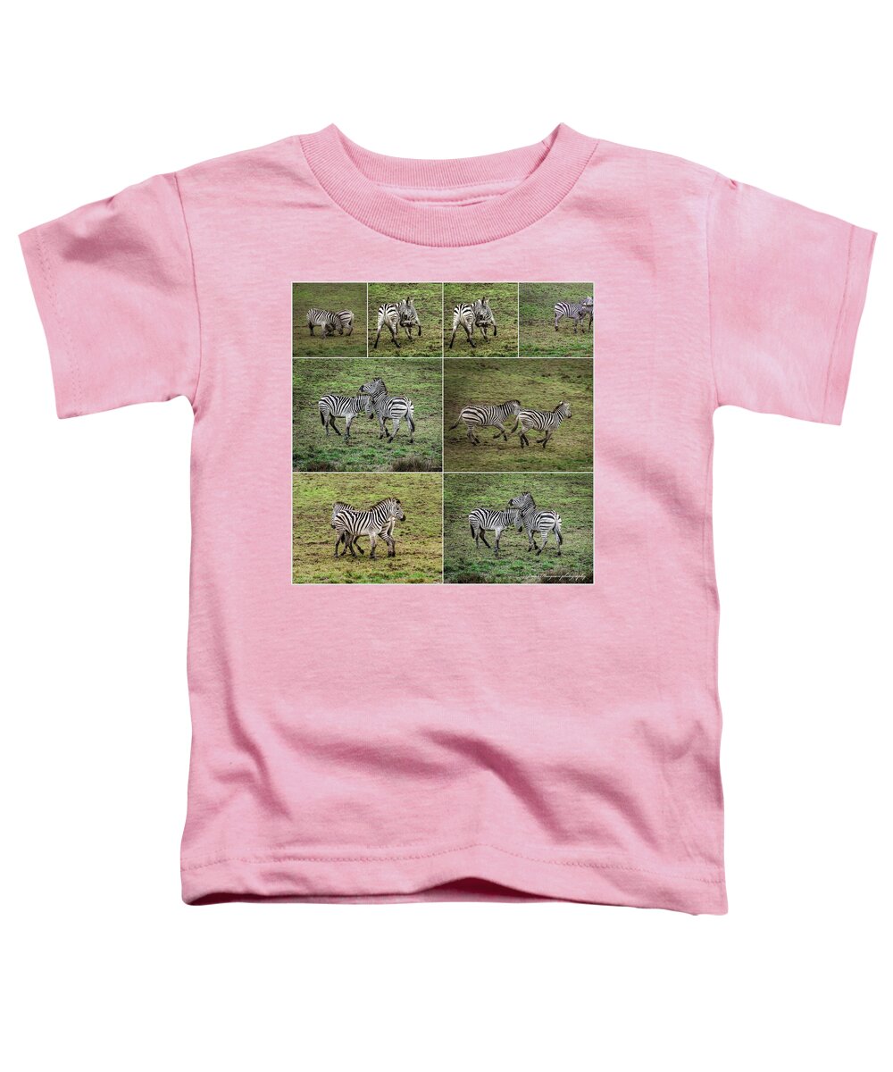 Zebras in play - Toddler T-Shirt