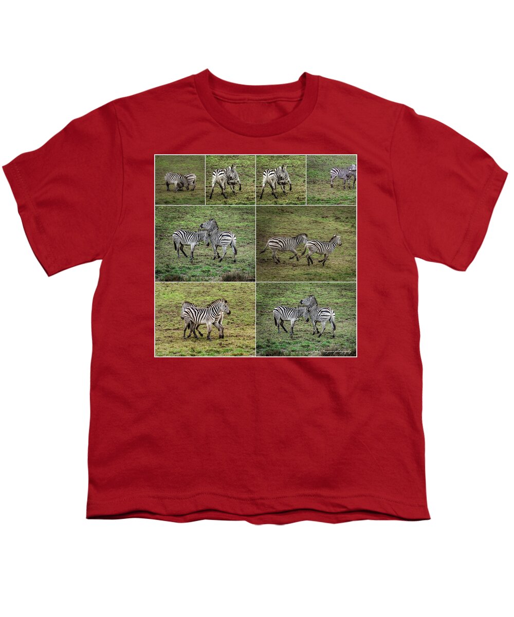 Zebras in play - Youth T-Shirt