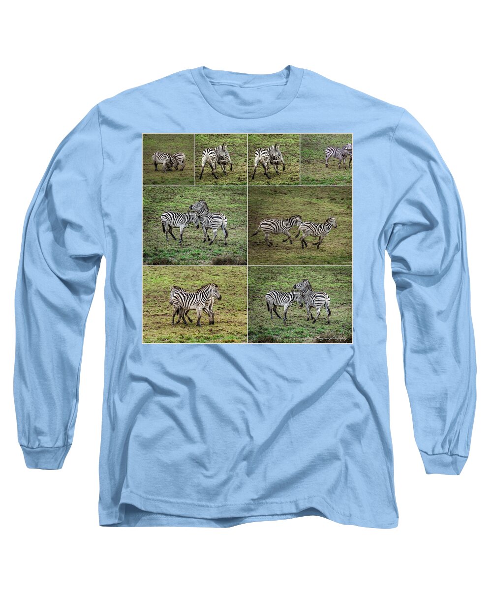 Zebras in play - Long Sleeve T-Shirt