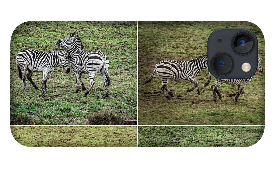 Zebras in play - Phone Case