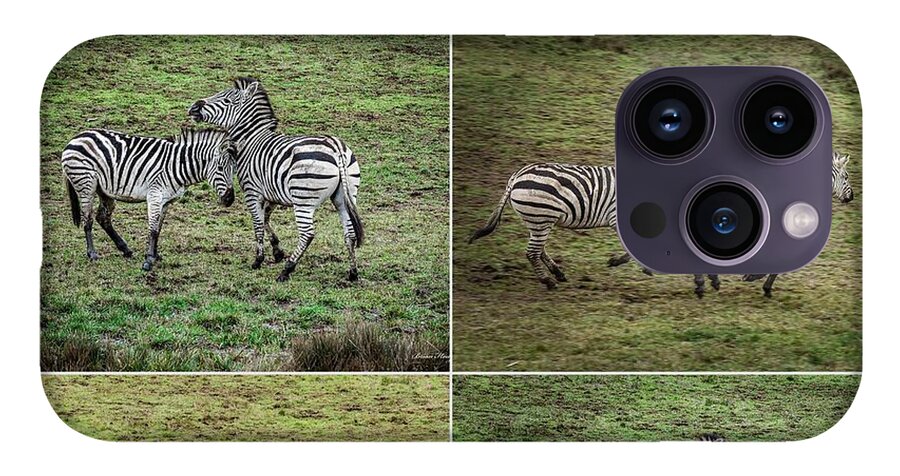 Zebras in play - Phone Case