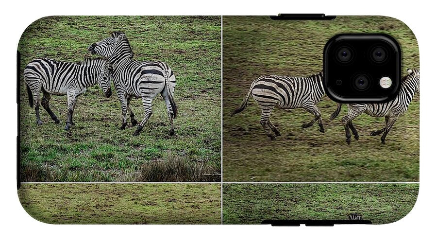 Zebras in play - Phone Case