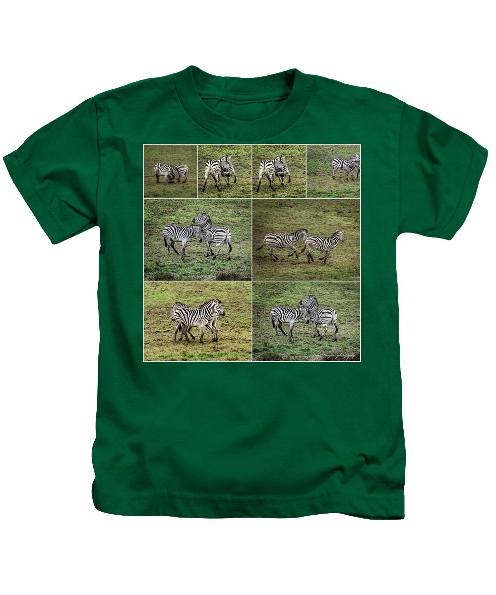 Zebras in play - Kids T-Shirt