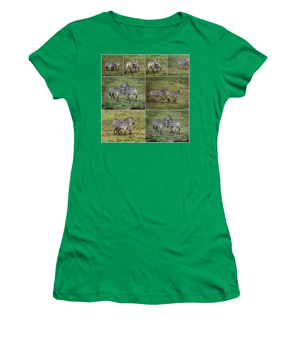 Zebras in play - Women's T-Shirt