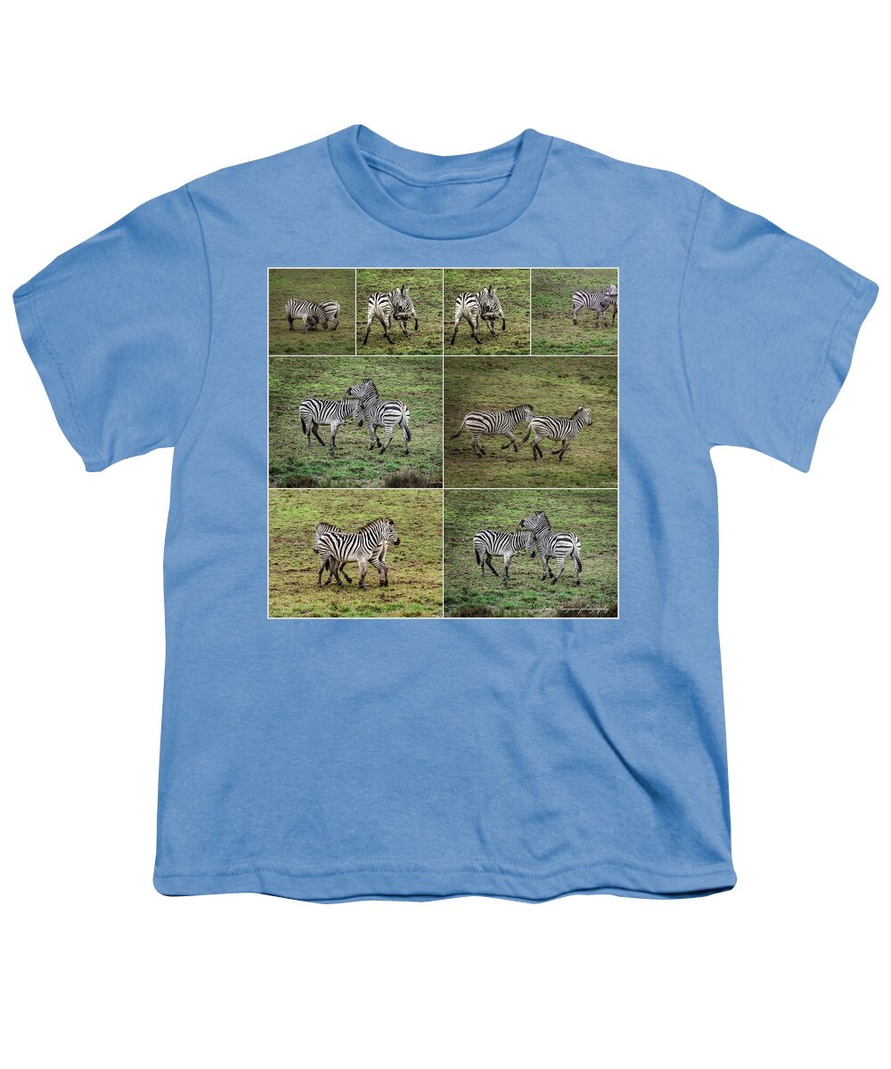 Zebras in play - Youth T-Shirt