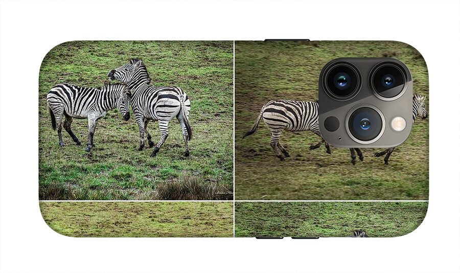 Zebras in play - Phone Case