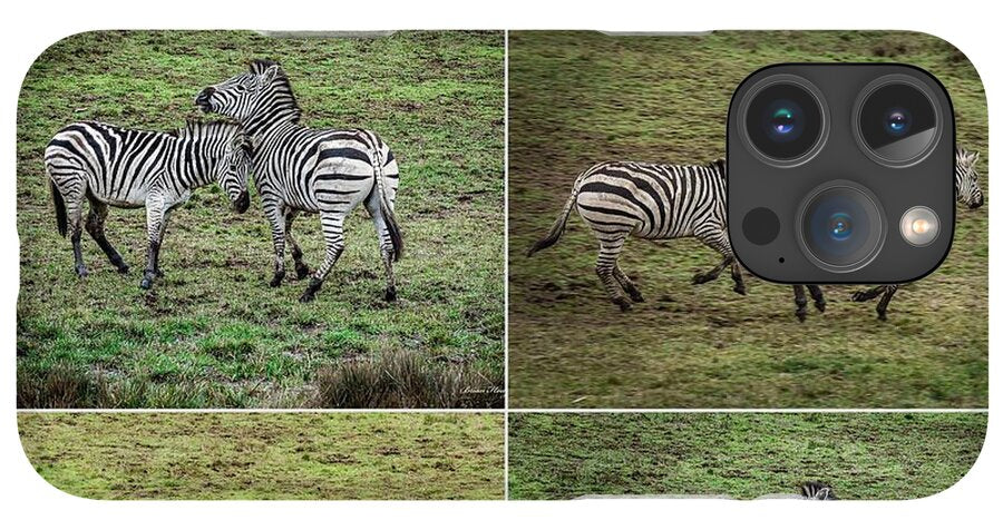 Zebras in play - Phone Case
