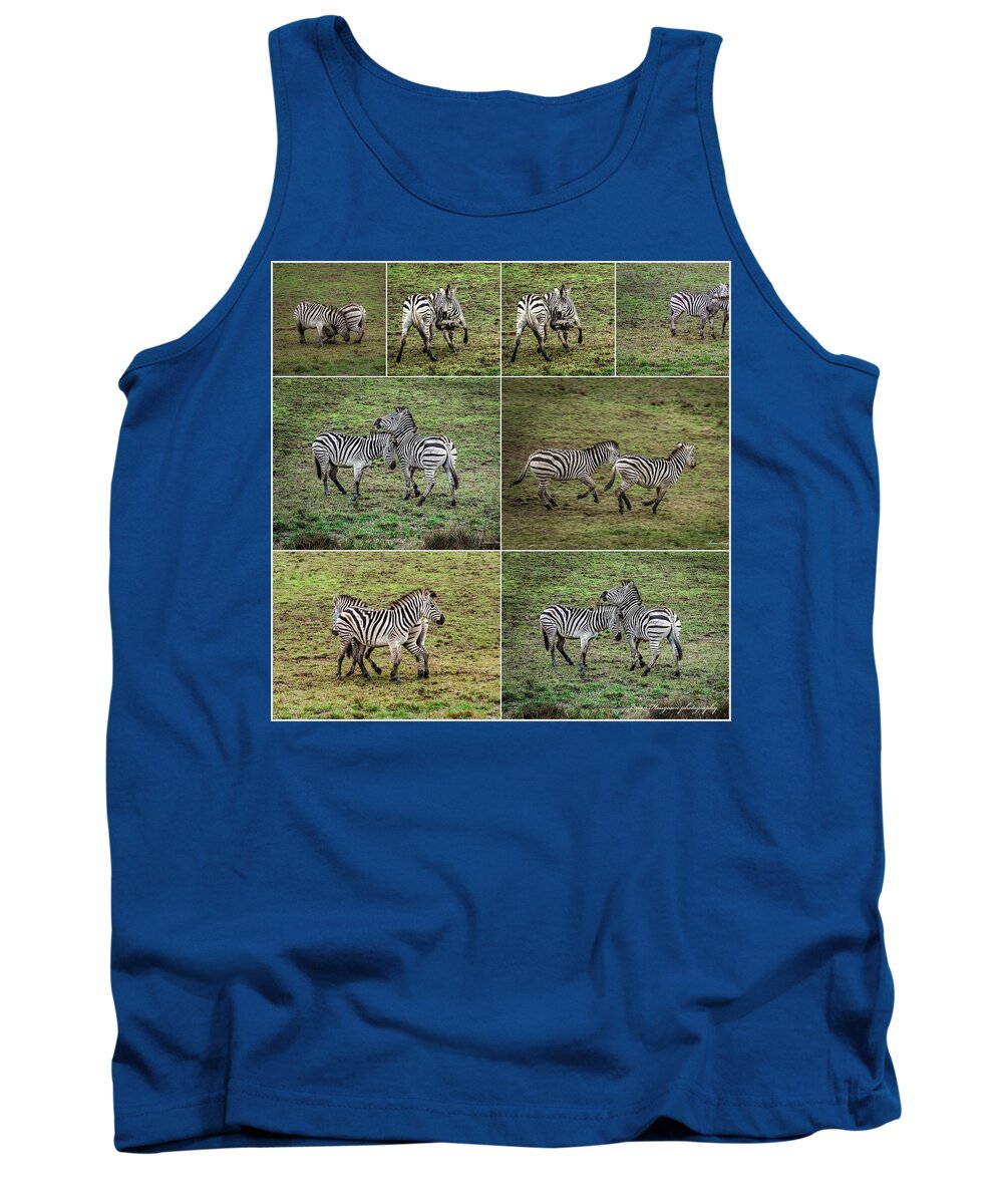 Zebras in play - Tank Top