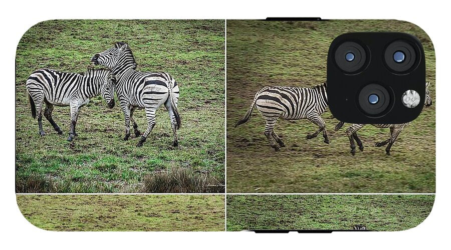 Zebras in play - Phone Case