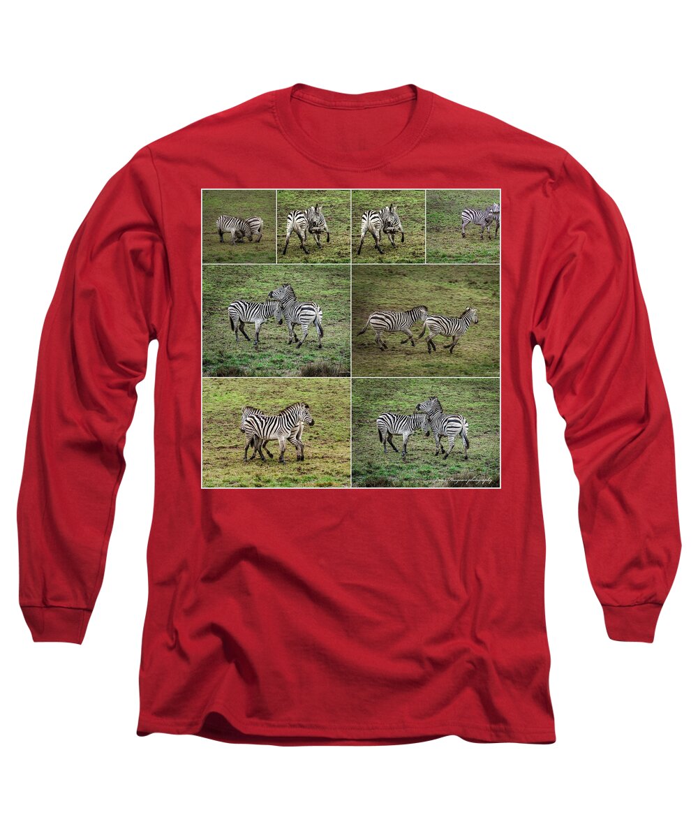 Zebras in play - Long Sleeve T-Shirt