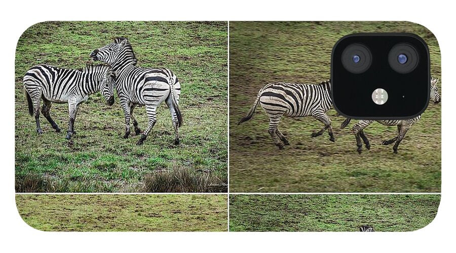 Zebras in play - Phone Case