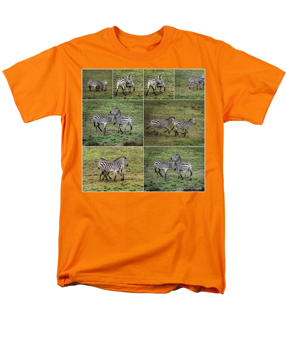 Zebras in play - Men's T-Shirt  (Regular Fit)