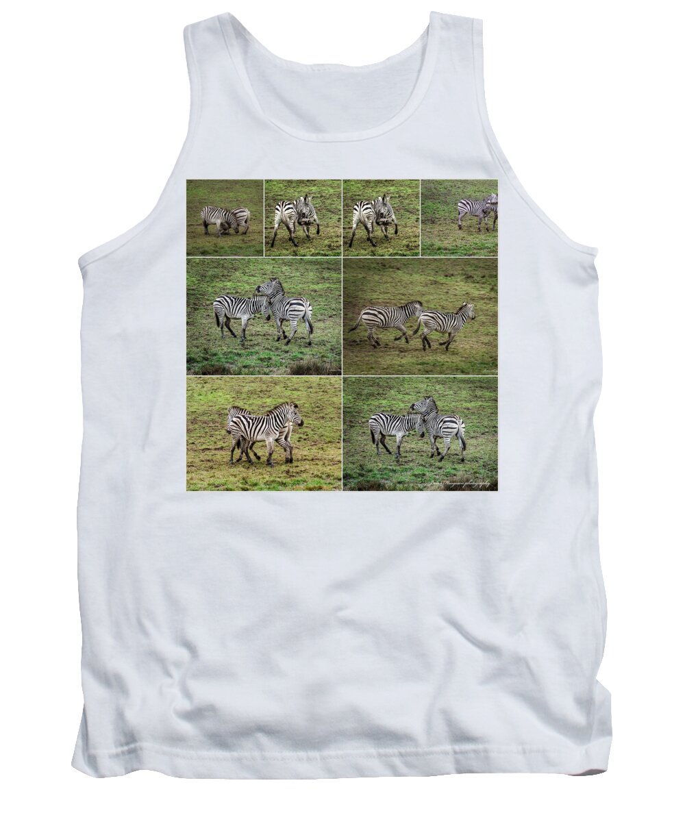 Zebras in play - Tank Top